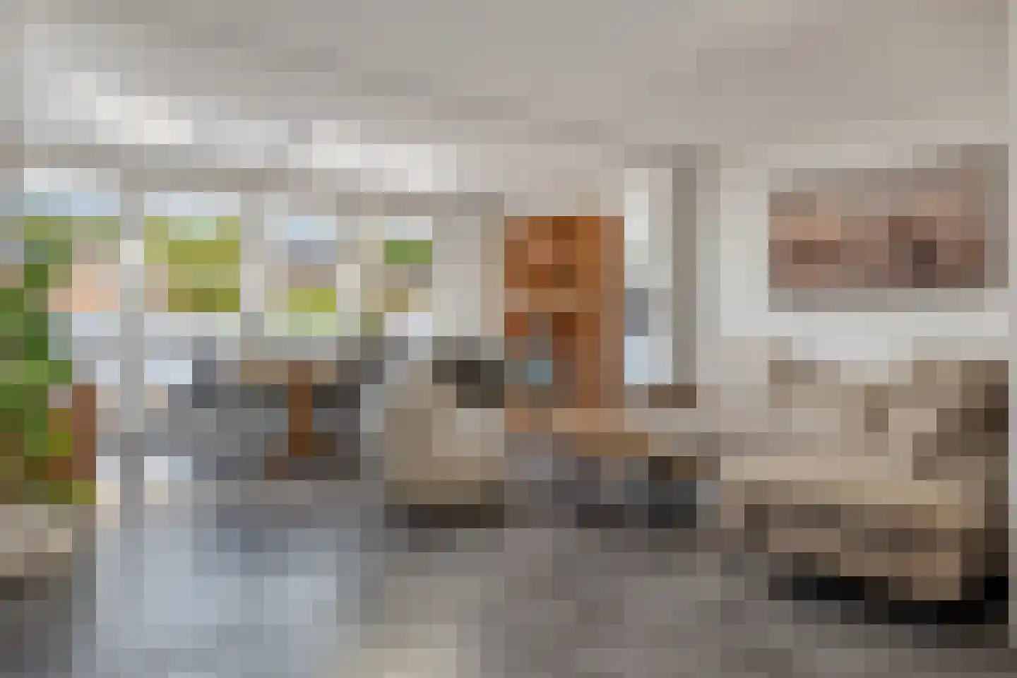 Ganzedrift 6 Slochteren thumbnail 10