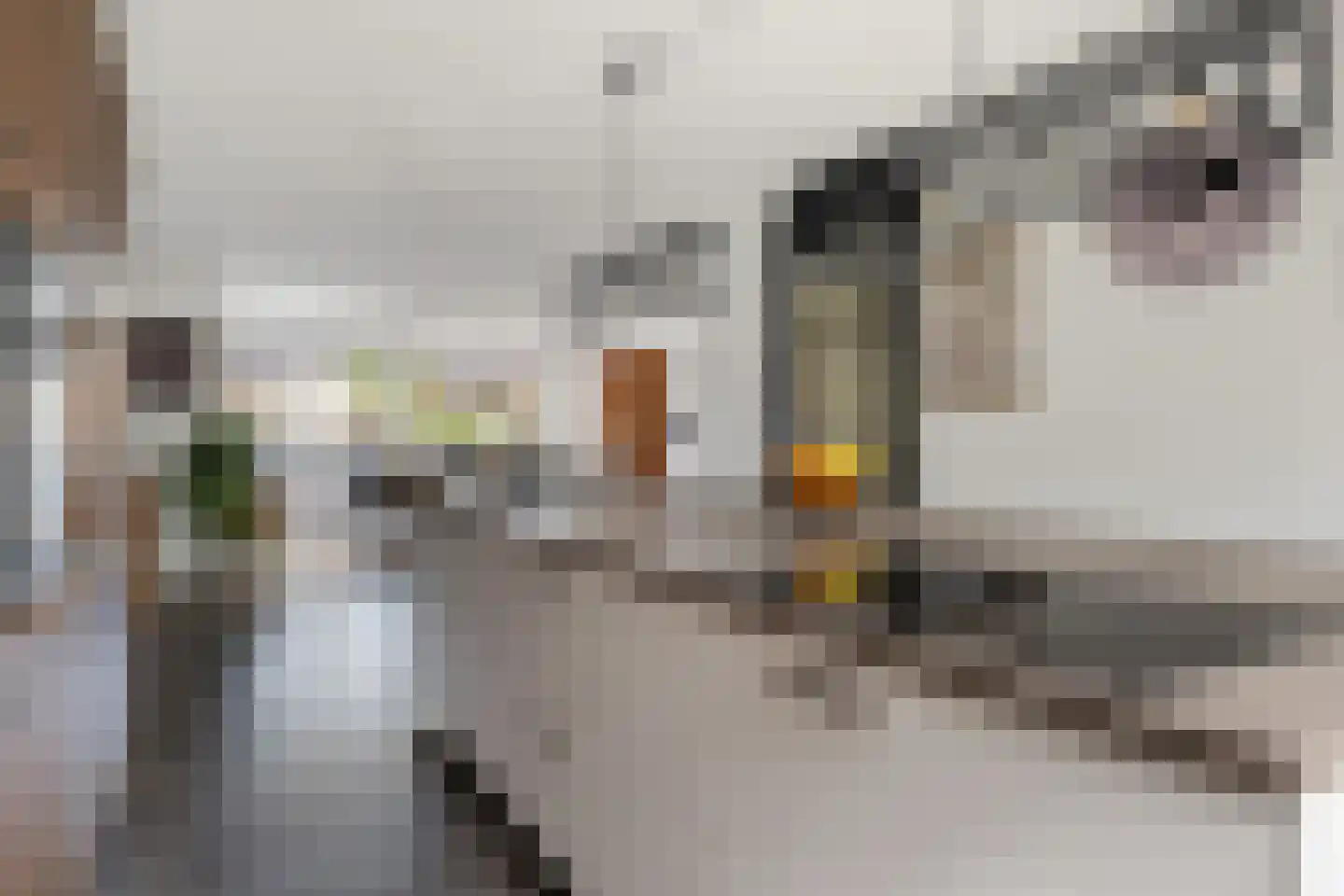 Ganzedrift 6 Slochteren thumbnail 18
