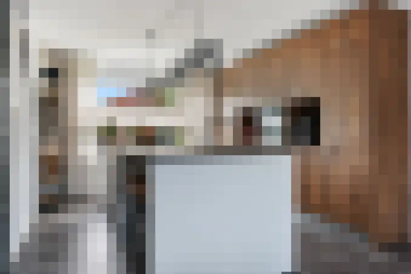 Ganzedrift 6 Slochteren foto 3