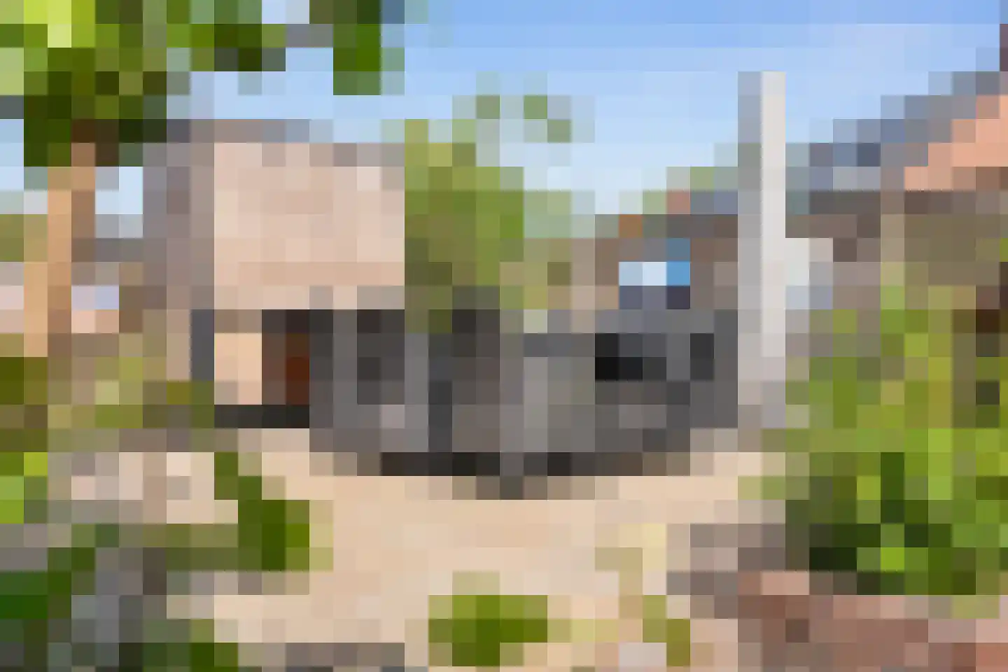 Ganzedrift 6 Slochteren thumbnail 37