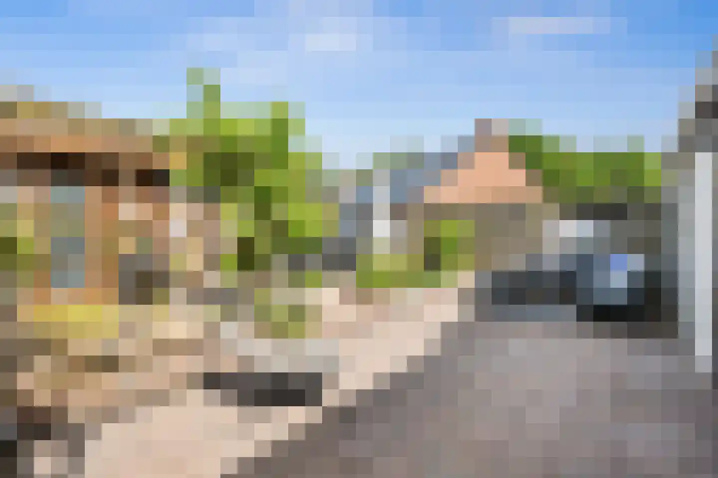 Ganzedrift 6 Slochteren thumbnail 40