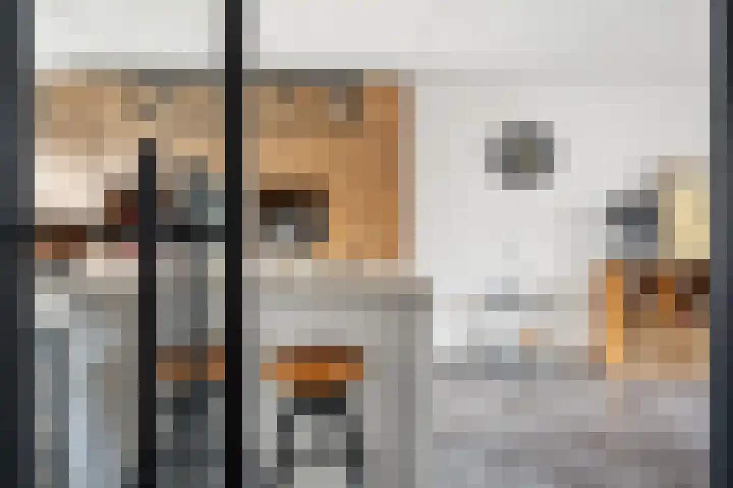 Ganzedrift 6 Slochteren thumbnail 7