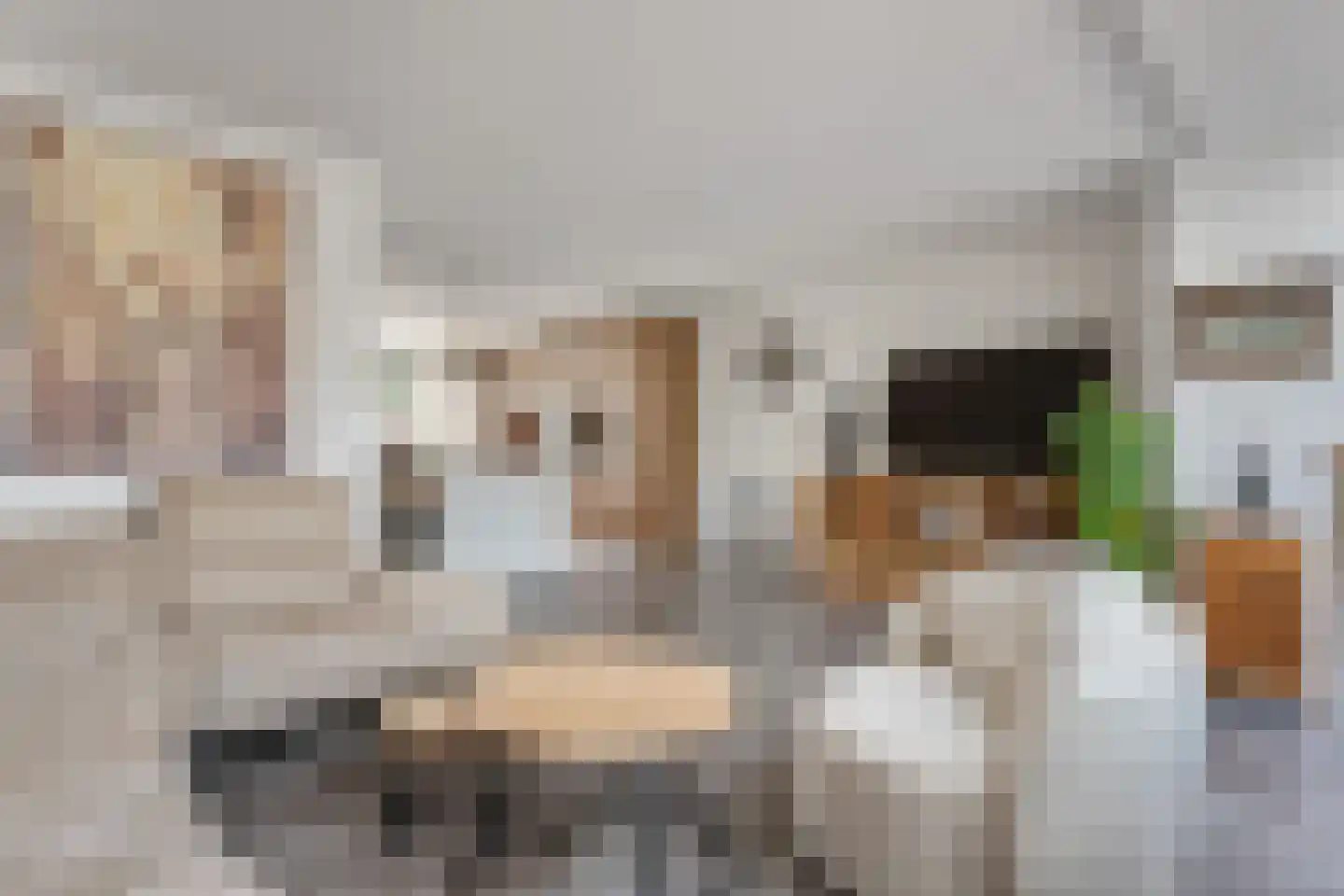 Ganzedrift 6 Slochteren thumbnail 9