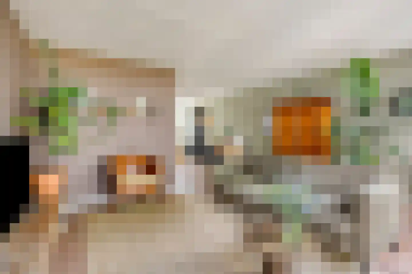 Ganzehof 24 Midwoud thumbnail 15