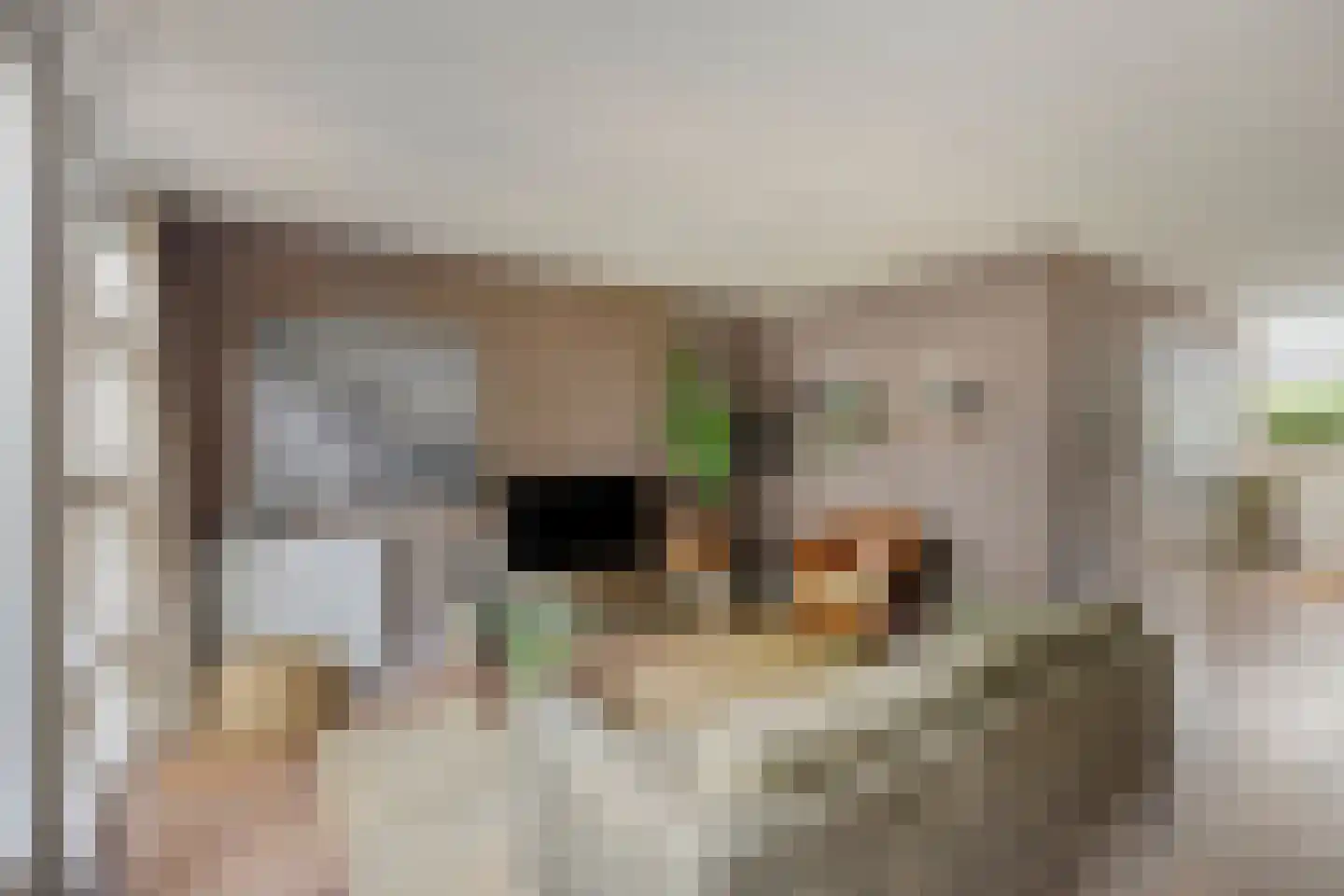 Ganzehof 24 Midwoud thumbnail 16