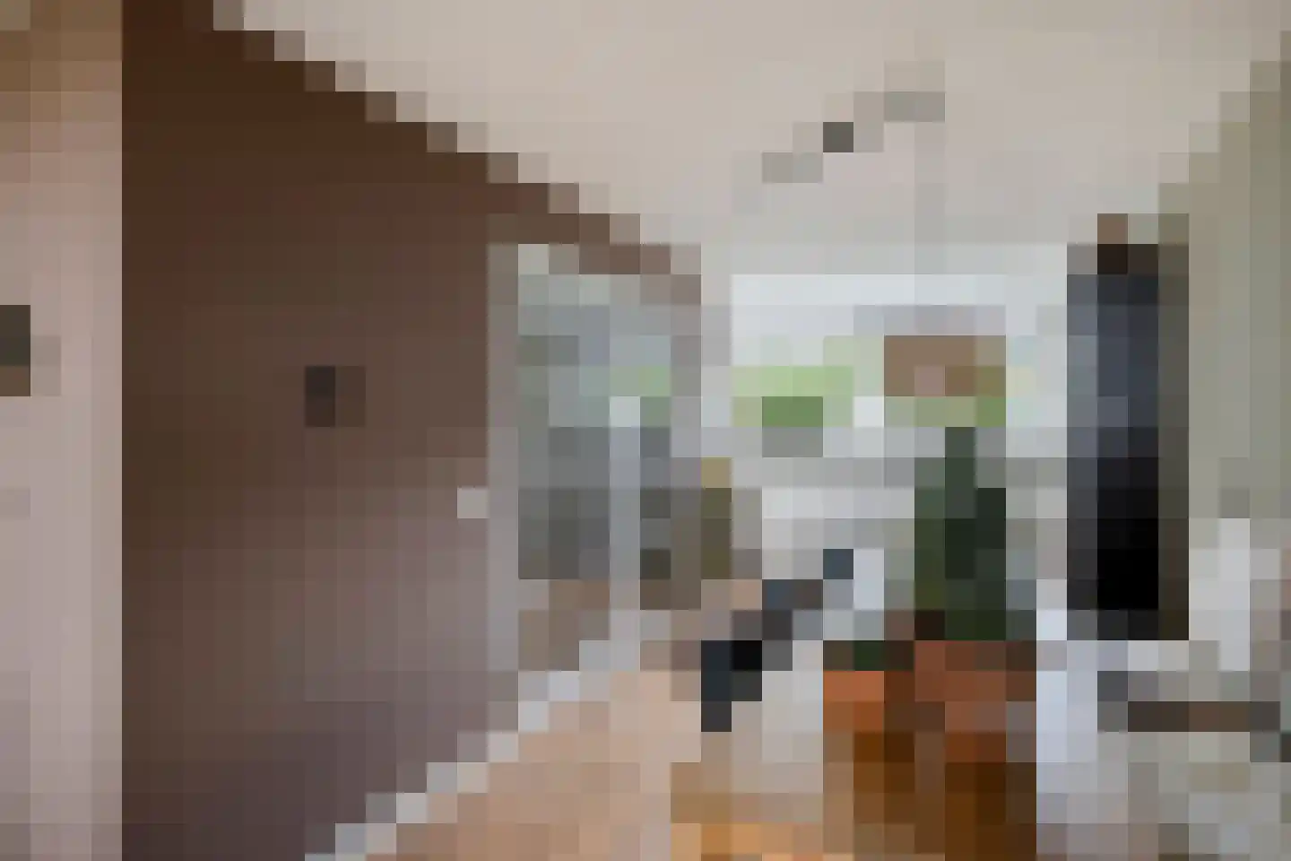 Ganzehof 24 Midwoud thumbnail 18