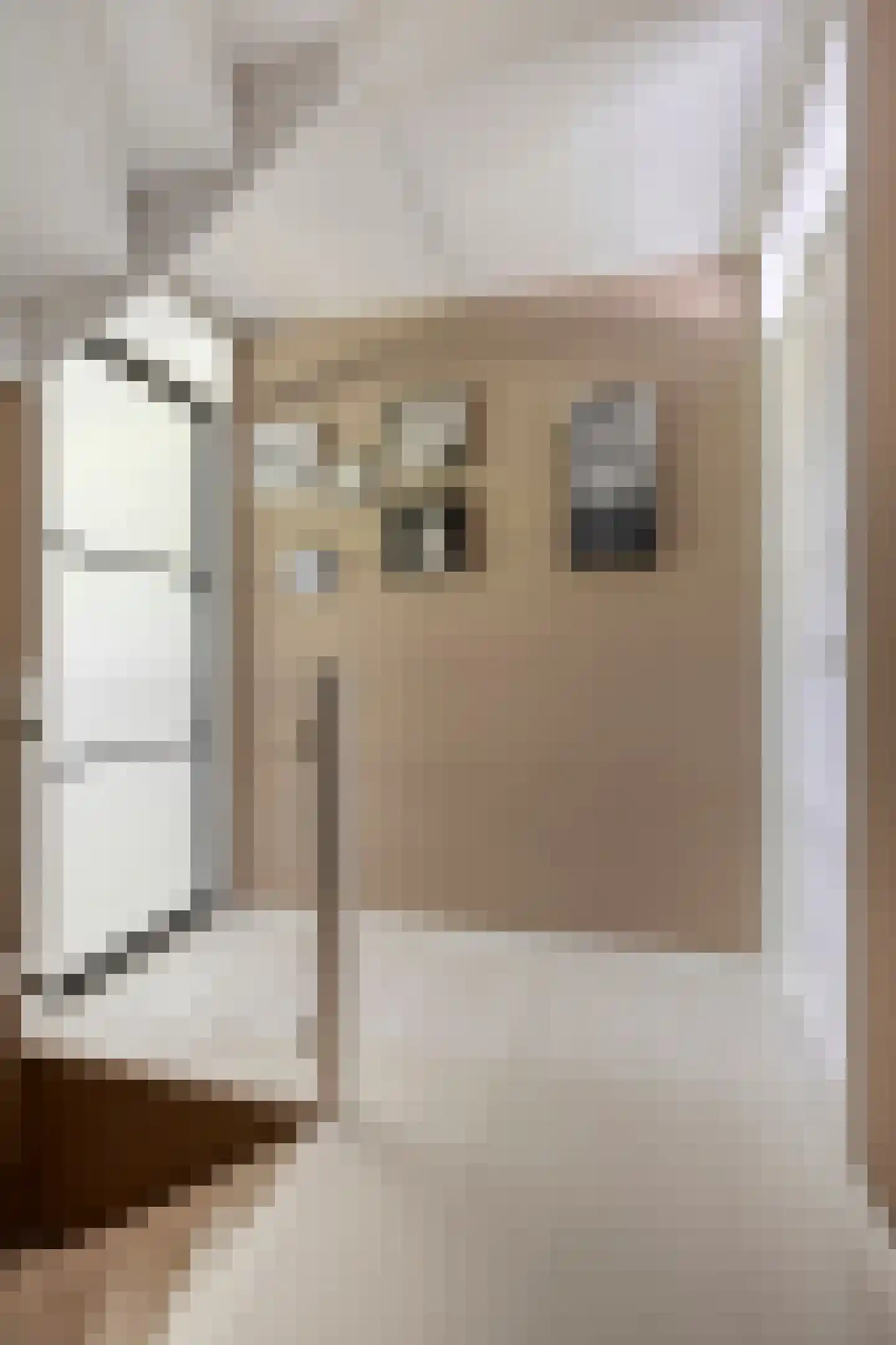 Ganzehof 24 Midwoud thumbnail 24