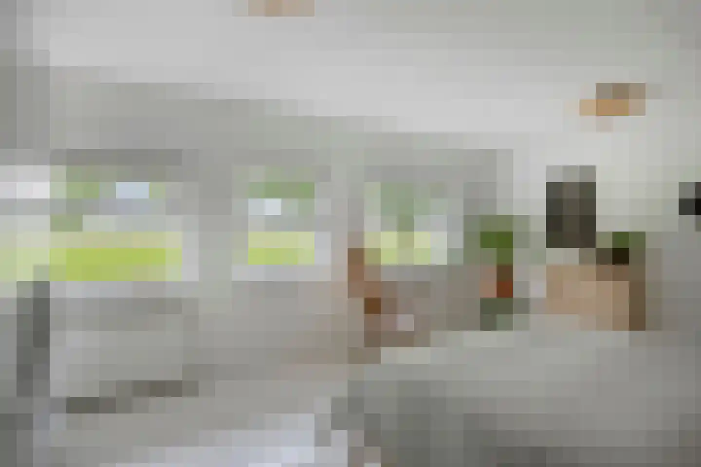 Ganzehof 24 Midwoud thumbnail 26