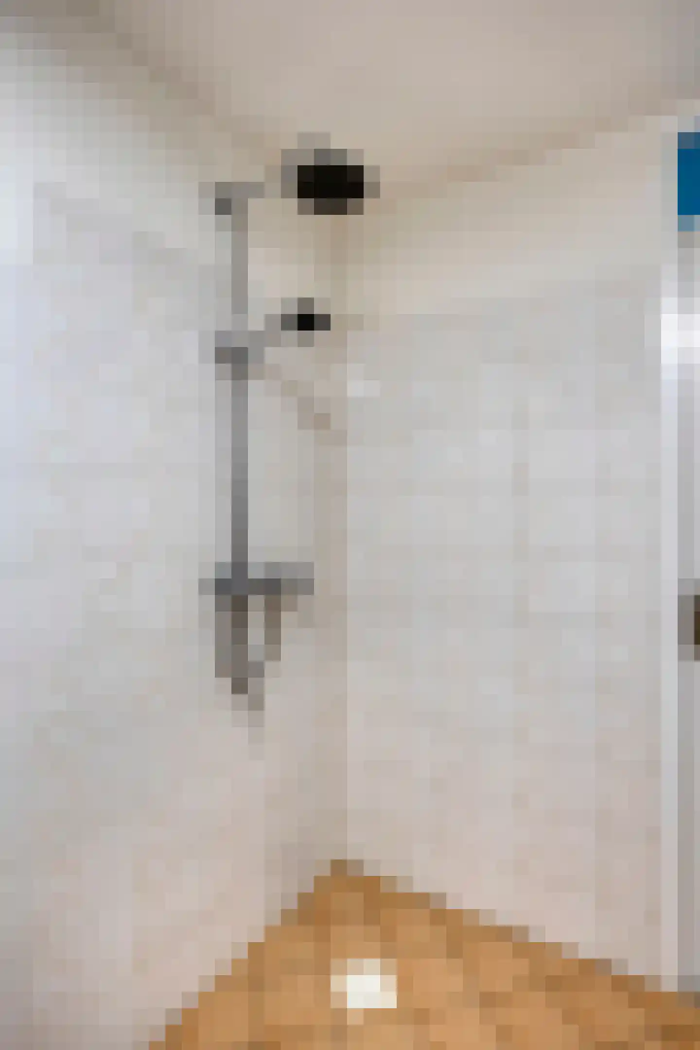 Ganzehof 24 Midwoud thumbnail 29