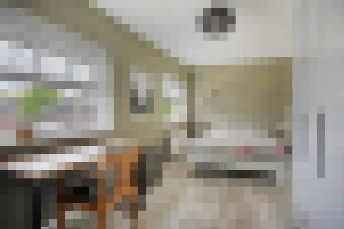 Ganzehof 24 Midwoud thumbnail 30
