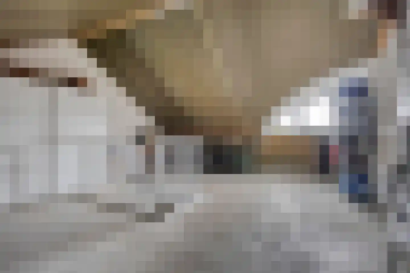 Ganzehof 24 Midwoud thumbnail 33