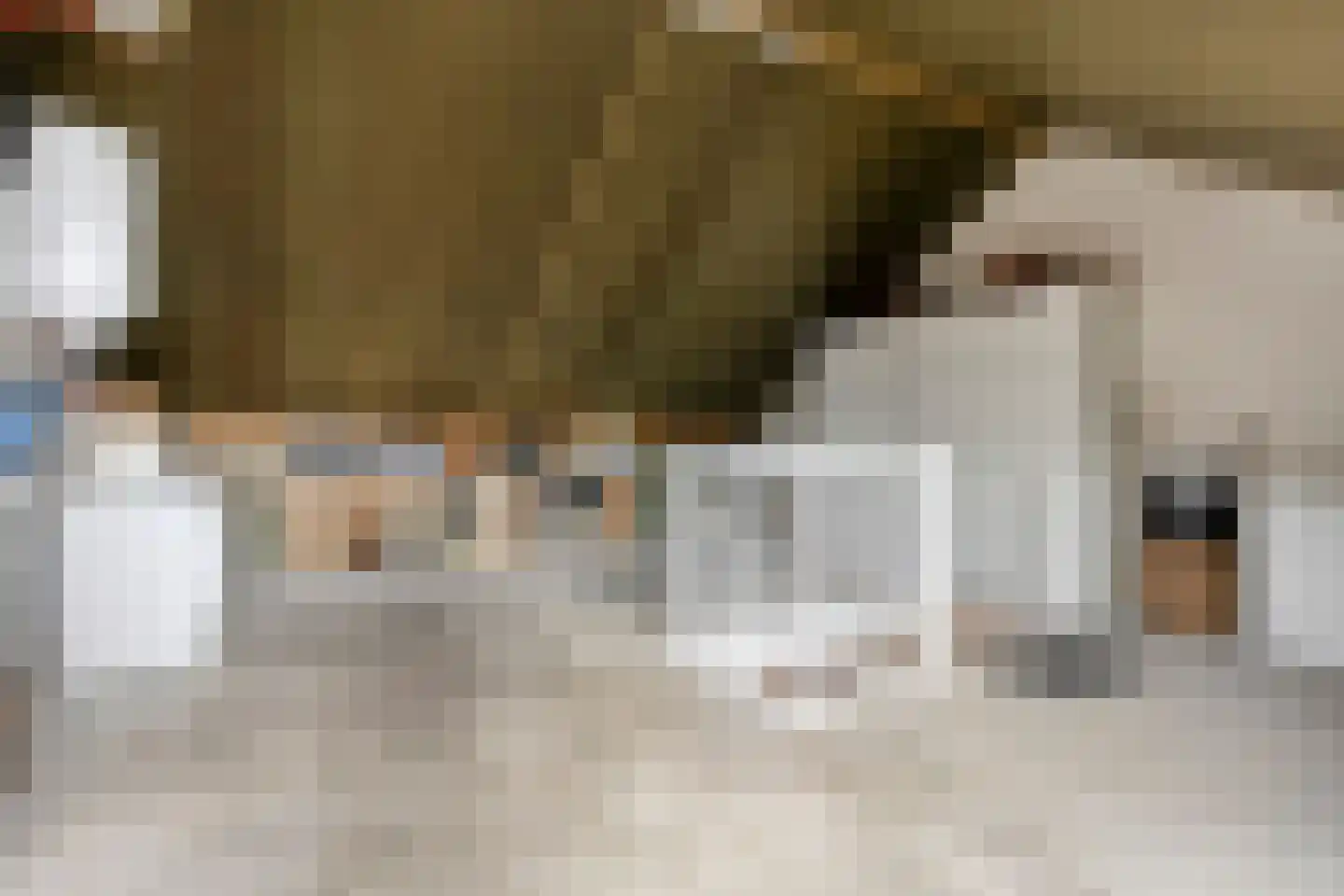 Ganzehof 24 Midwoud thumbnail 34