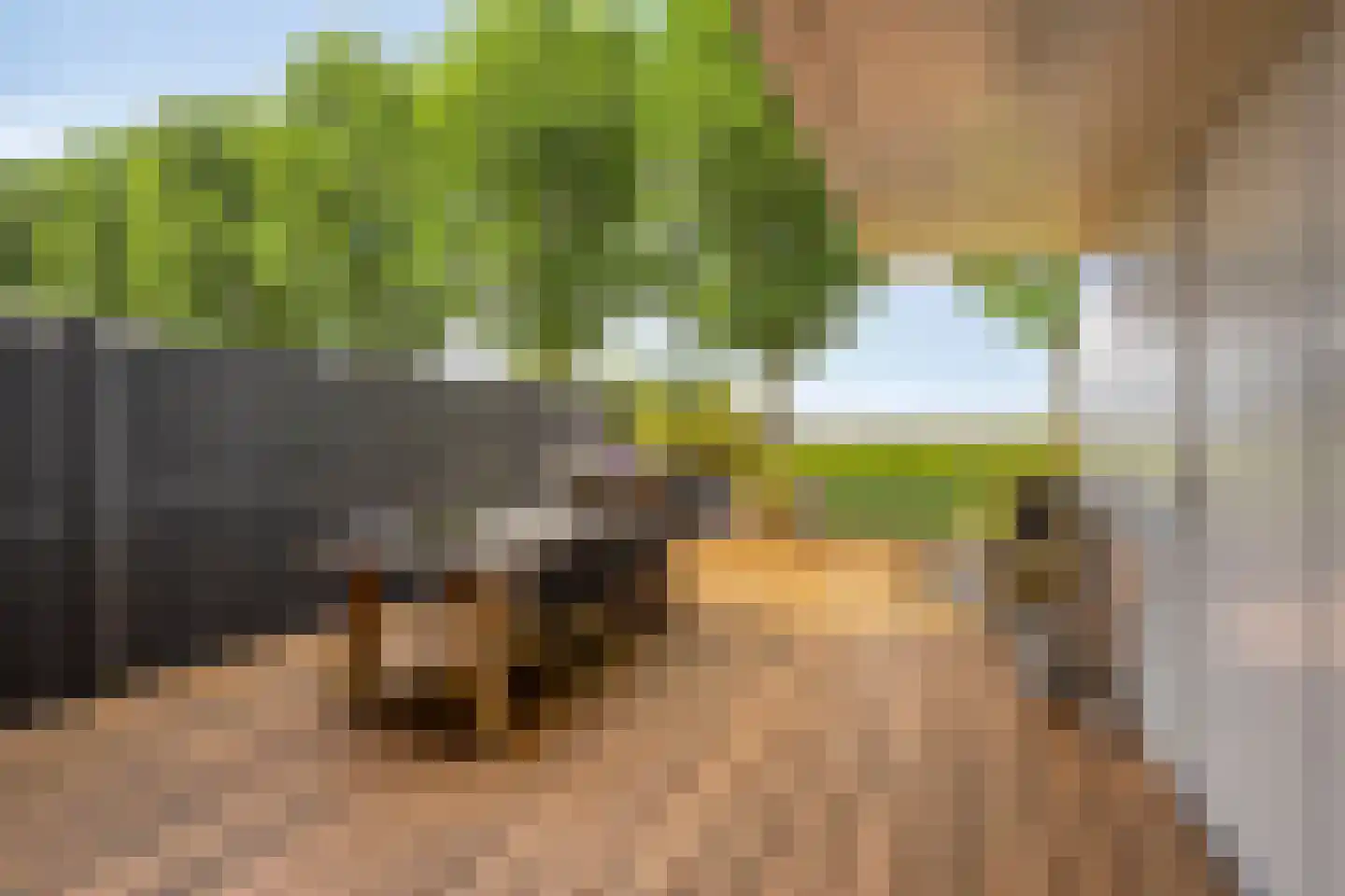 Ganzehof 24 Midwoud thumbnail 35