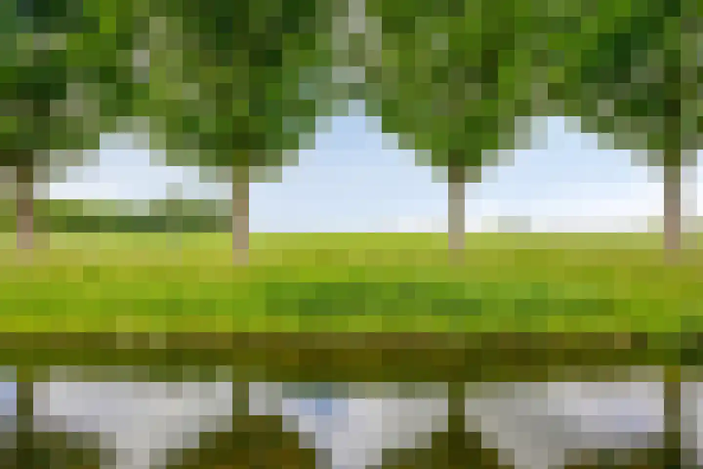 Ganzehof 24 Midwoud thumbnail 39