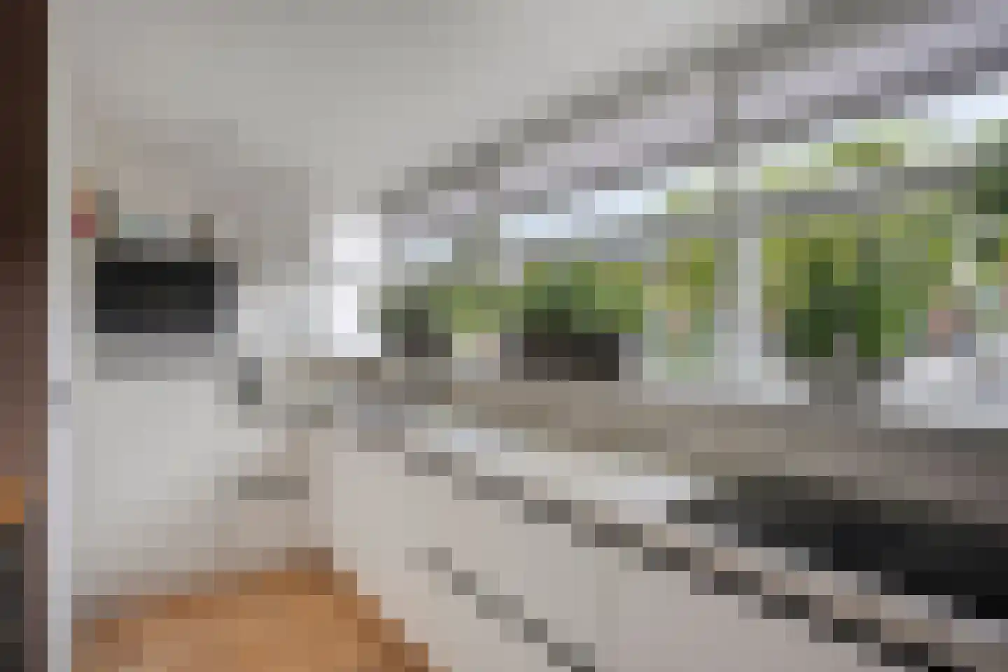 Ganzehof 24 Midwoud thumbnail 4