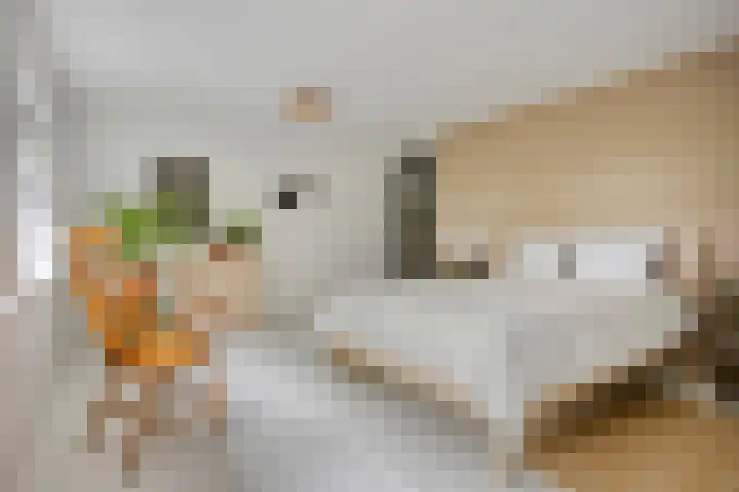 Ganzehof 24 Midwoud thumbnail 5