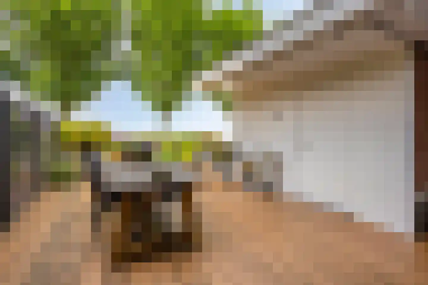 Ganzehof 24 Midwoud thumbnail 6