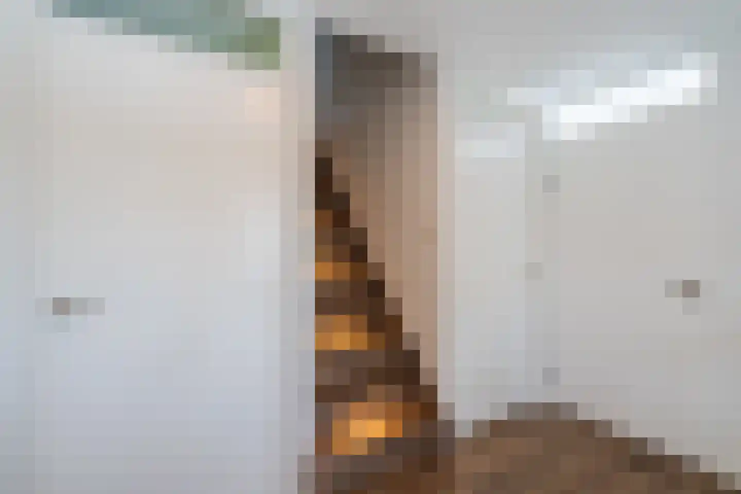 Ganzehof 26 Midwoud thumbnail 29