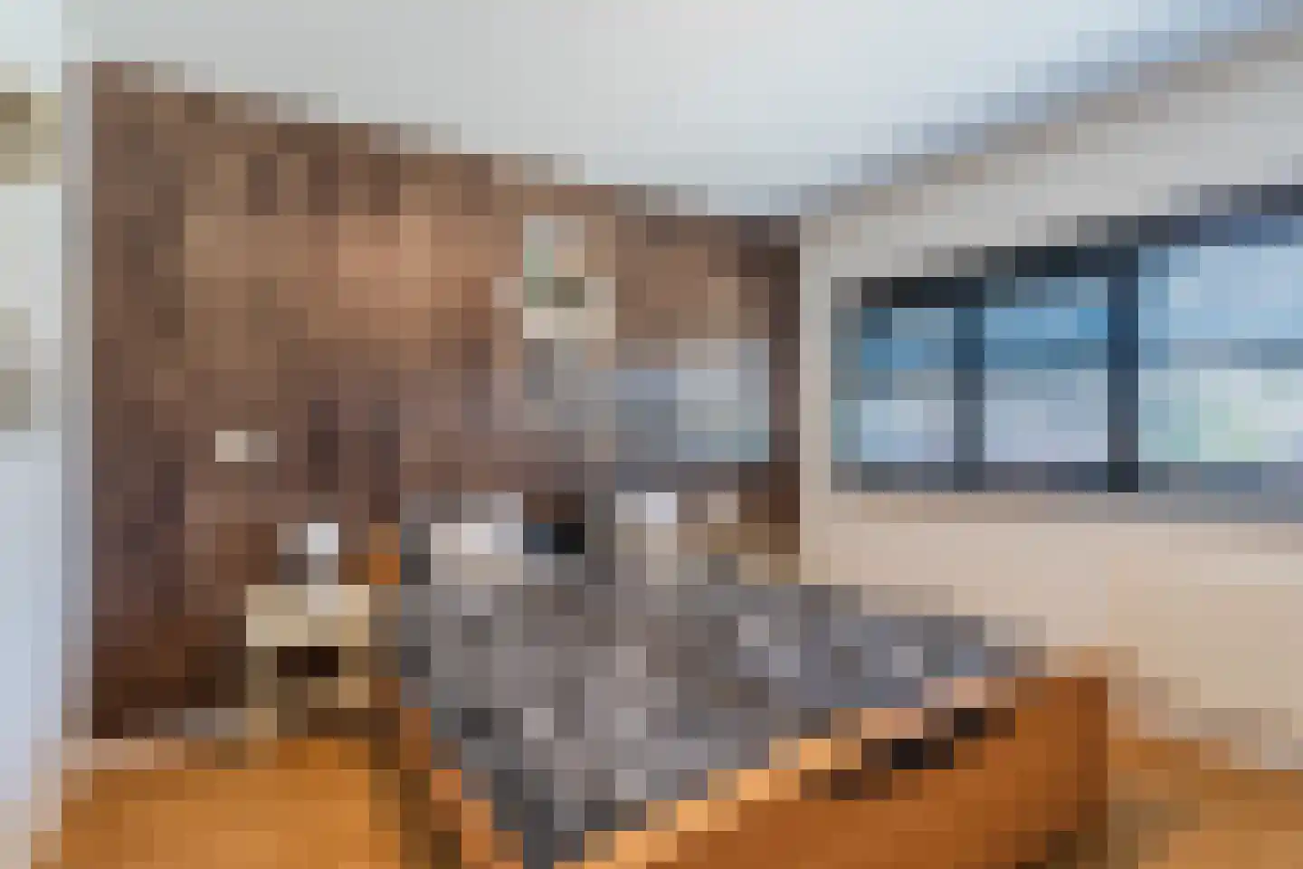Ganzehof 26 Midwoud thumbnail 35