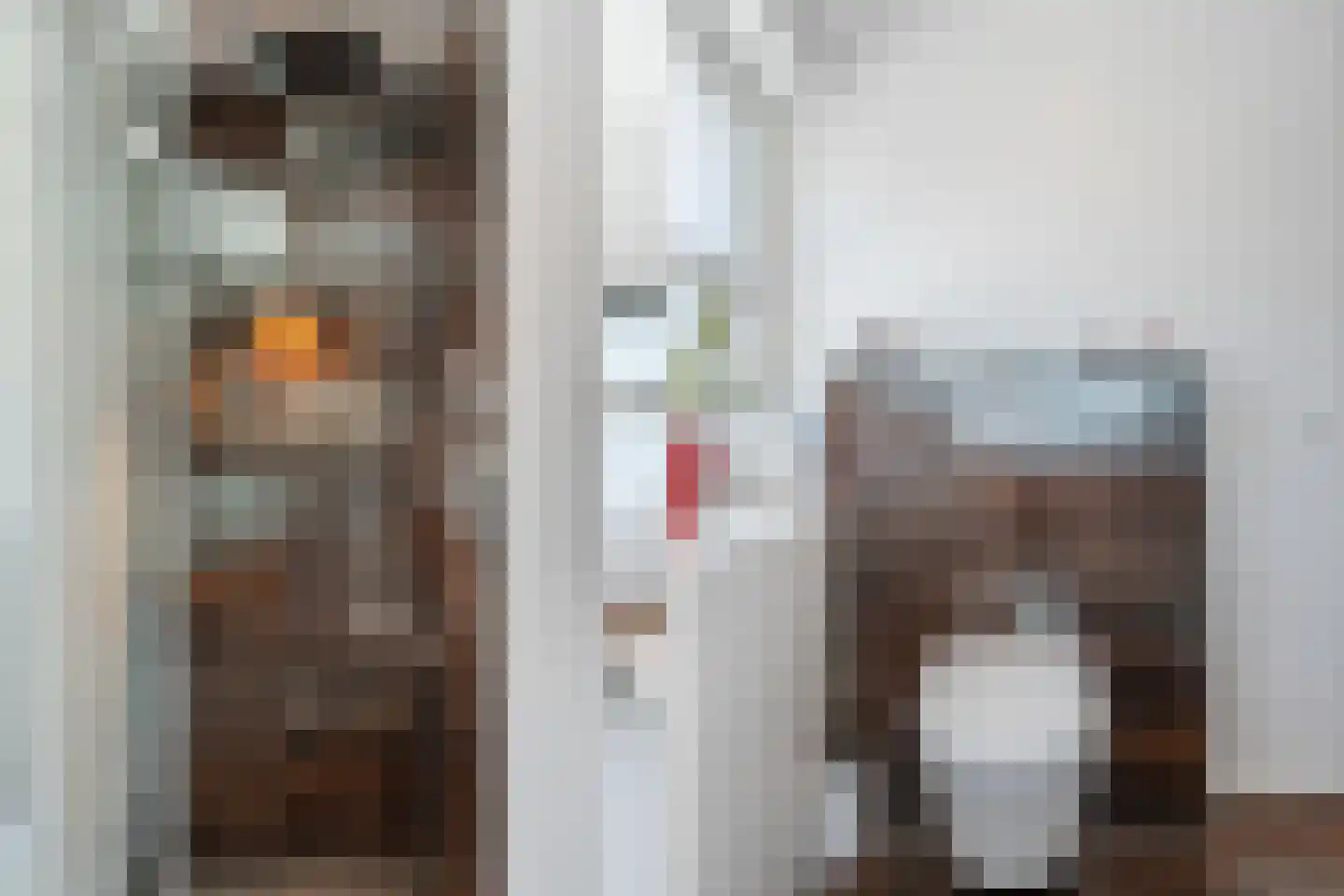 Ganzehof 26 Midwoud thumbnail 37