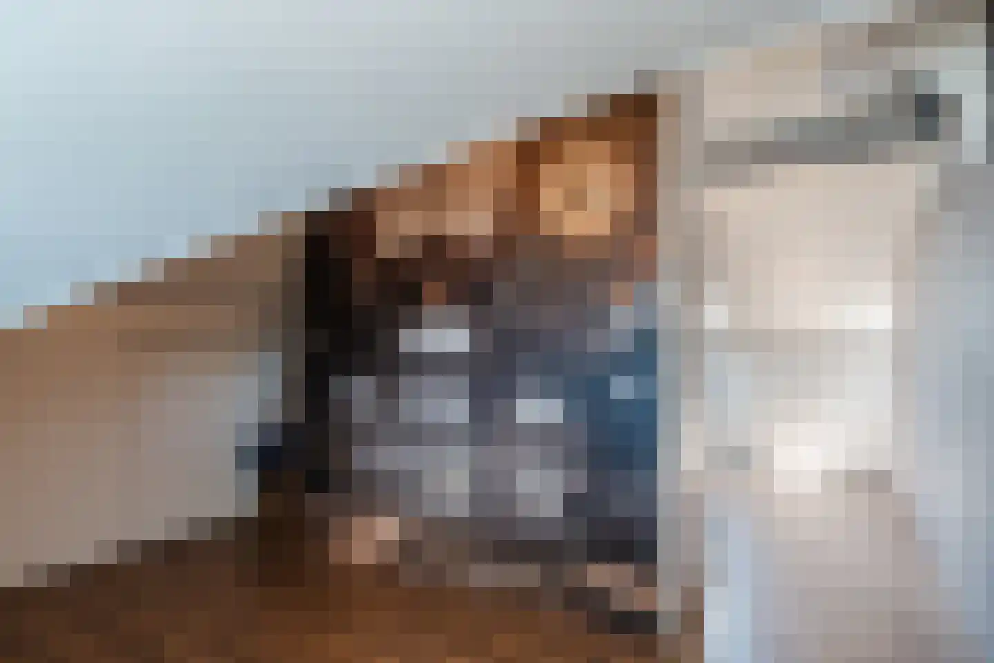 Ganzehof 26 Midwoud thumbnail 39