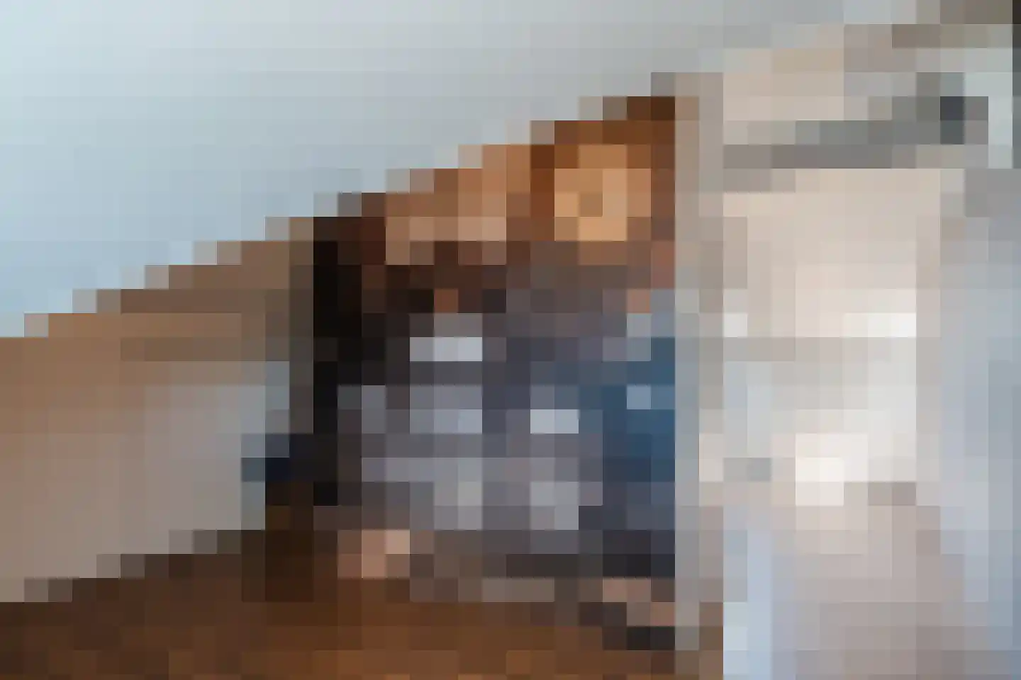 Ganzehof 26 Midwoud thumbnail 43