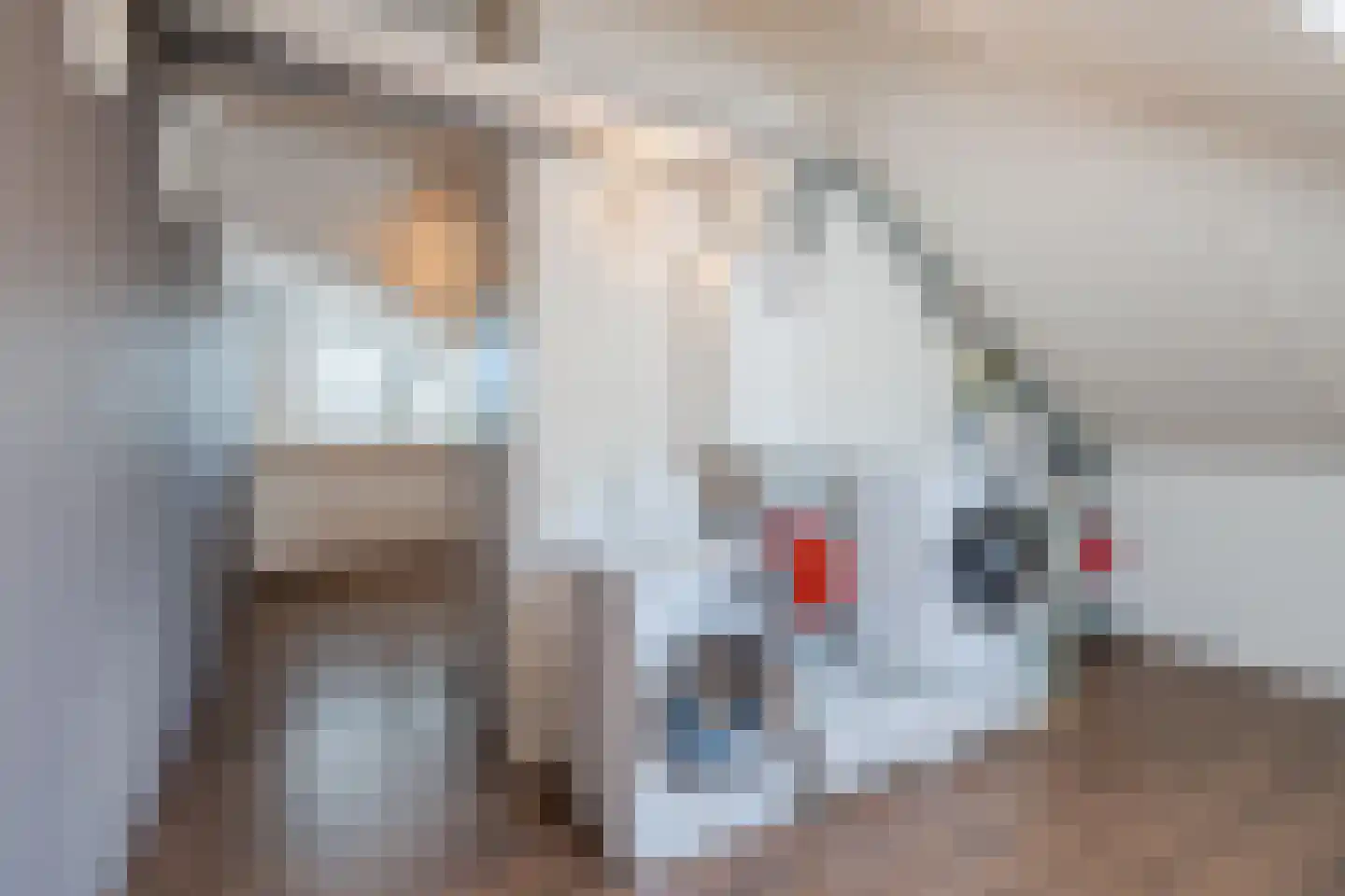 Ganzehof 26 Midwoud thumbnail 45