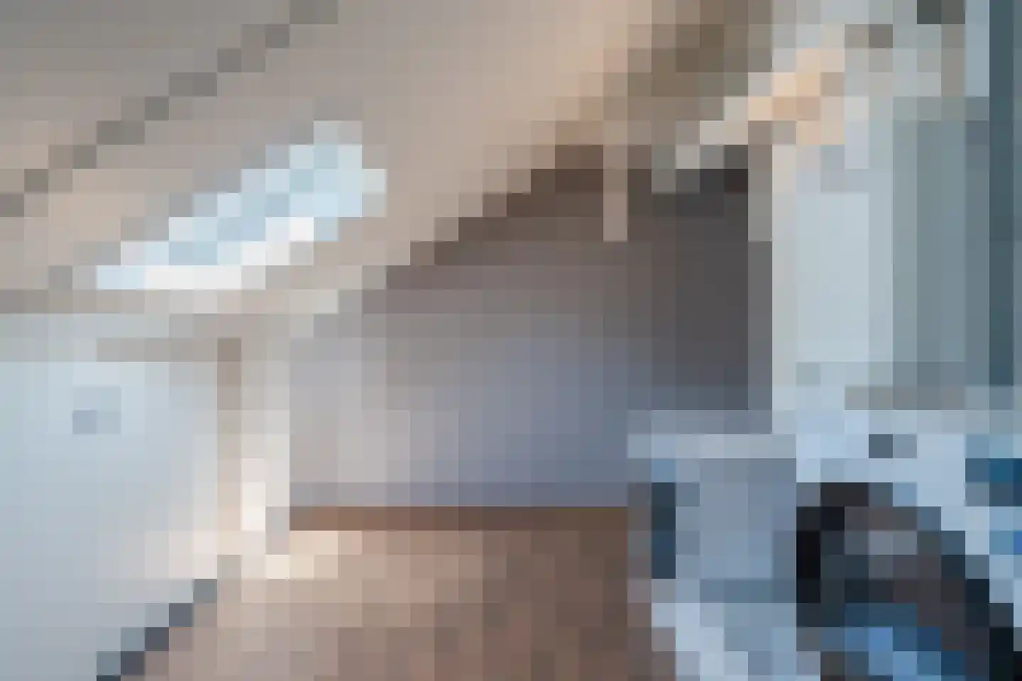 Ganzehof 26 Midwoud thumbnail 46