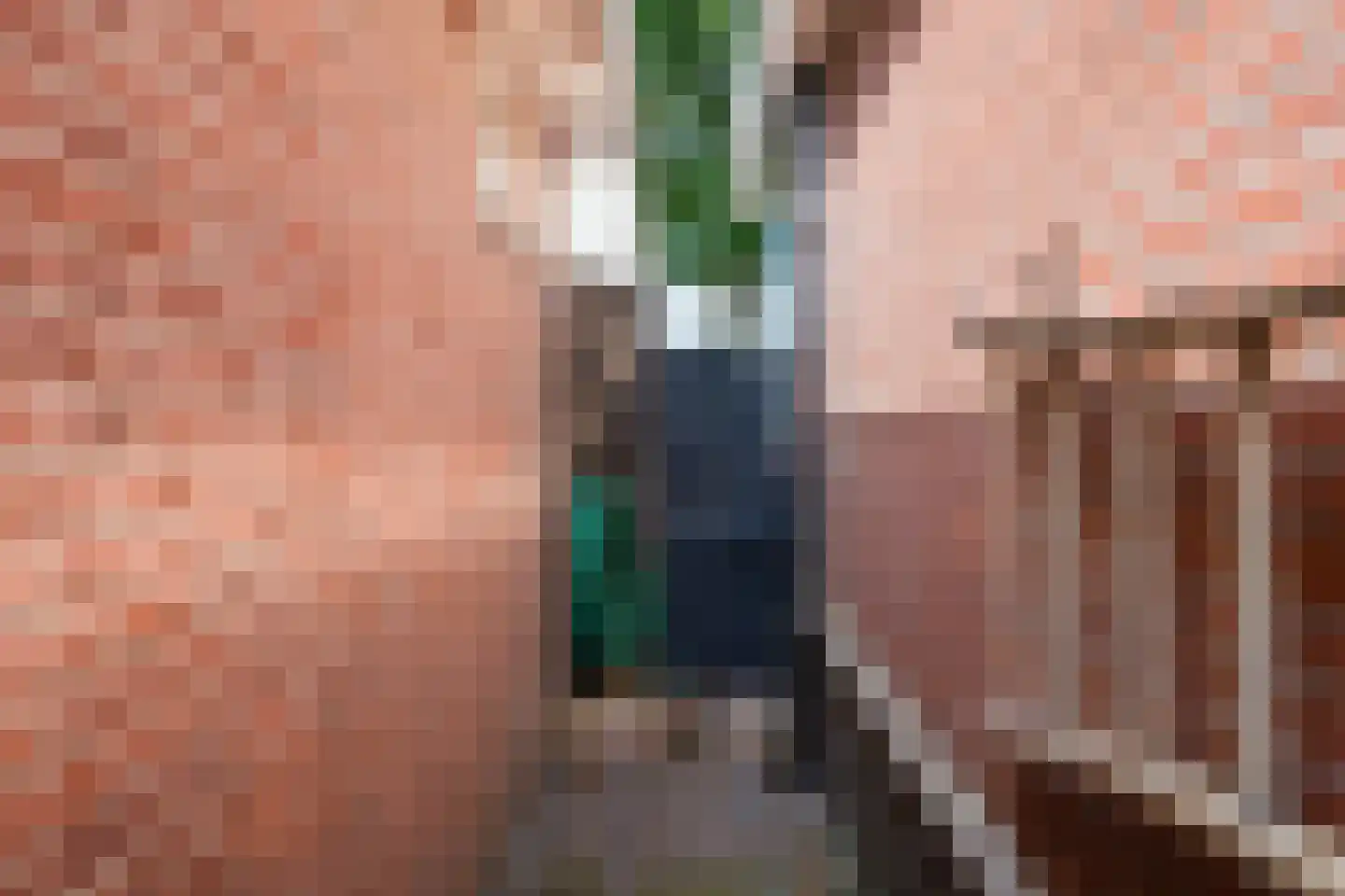 Ganzehof 26 Midwoud thumbnail 58