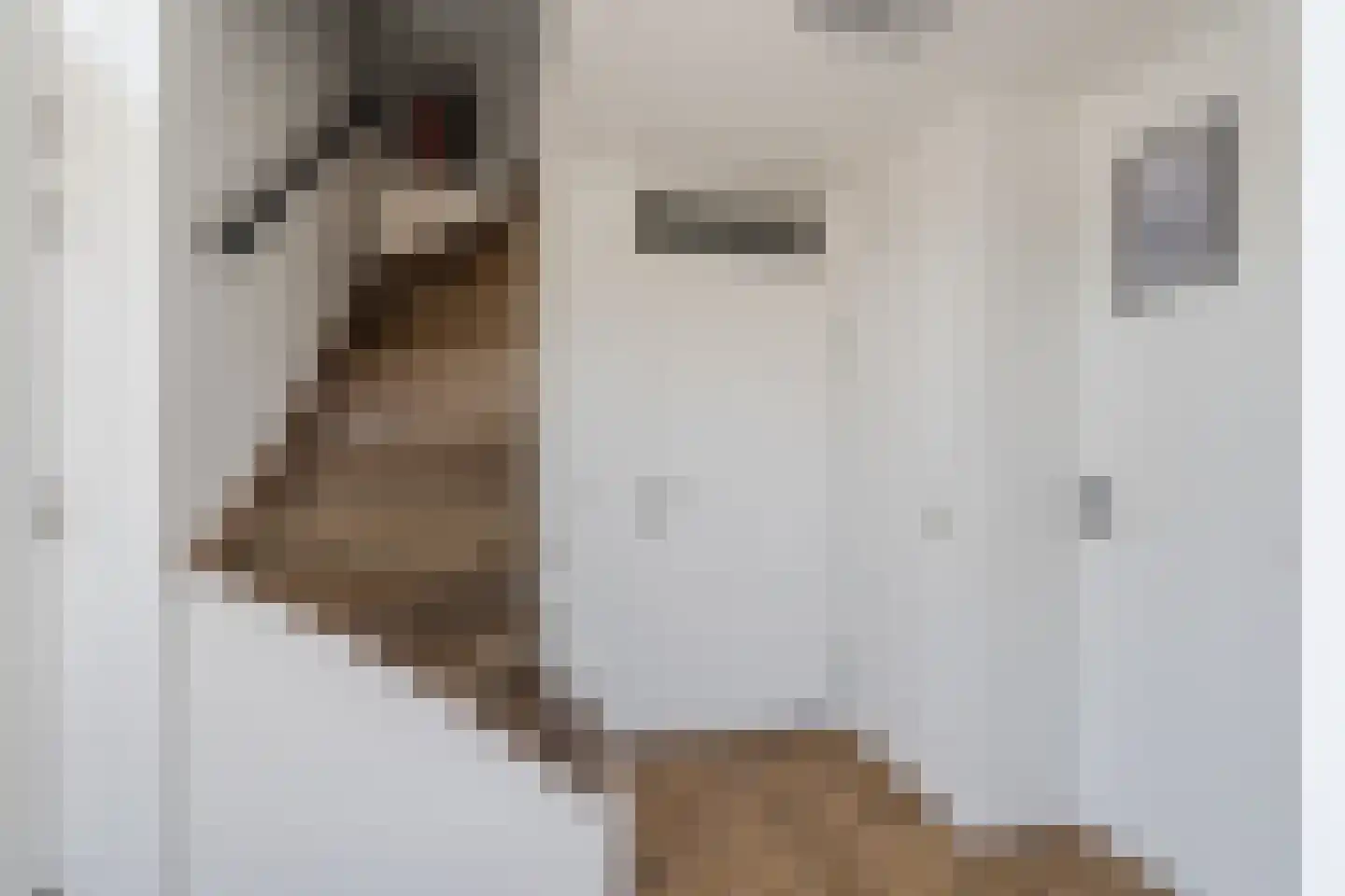 Ganzehof 26 Midwoud thumbnail 9