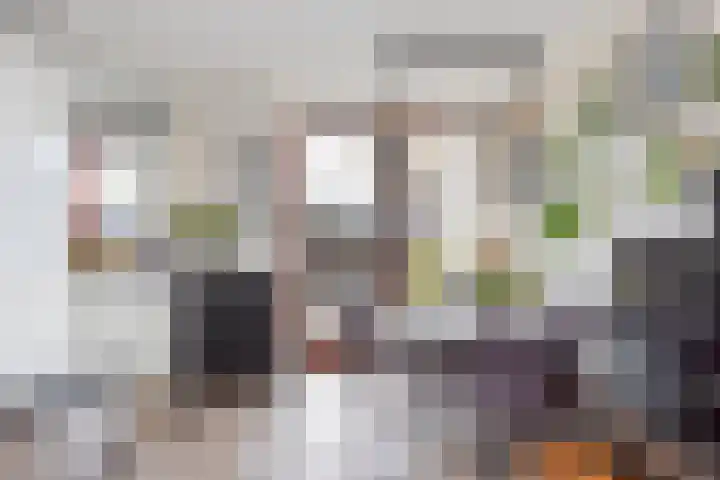 Ganzekant 13 Heerjansdam thumbnail 10