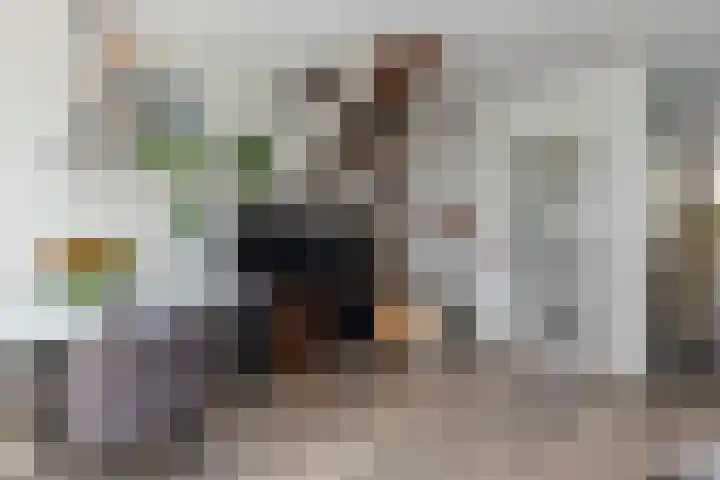 Ganzekant 13 Heerjansdam thumbnail 11