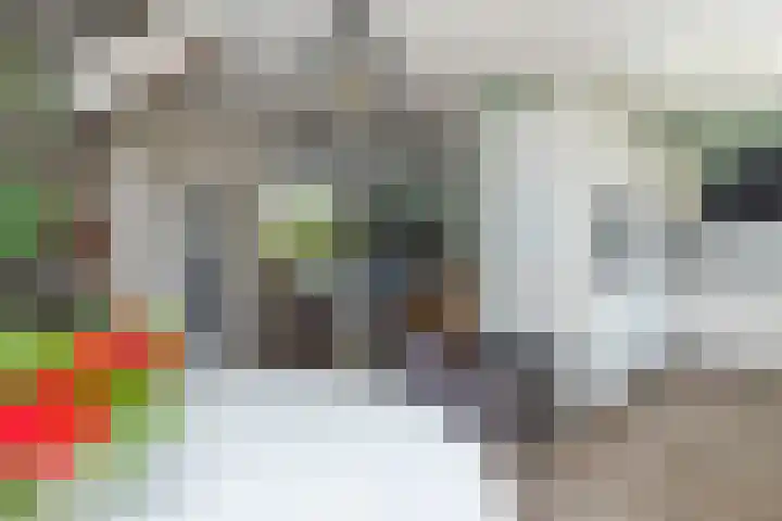 Ganzekant 13 Heerjansdam thumbnail 12