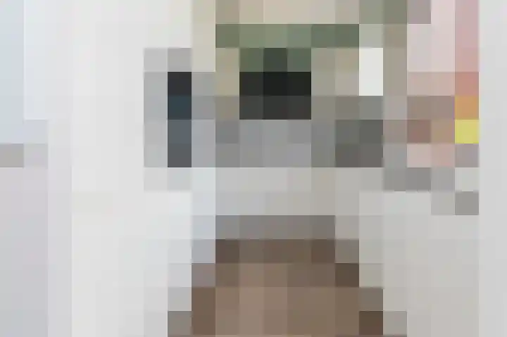 Ganzekant 13 Heerjansdam thumbnail 13