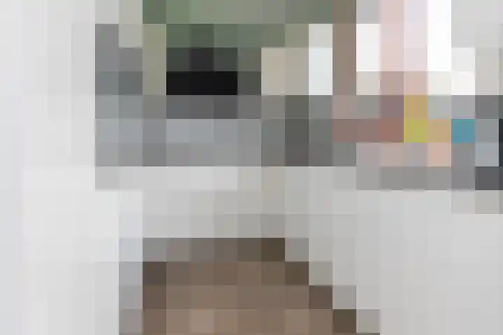 Ganzekant 13 Heerjansdam thumbnail 14