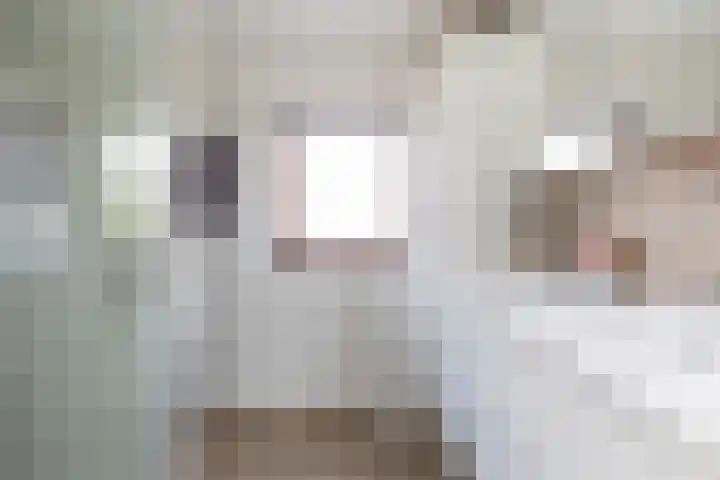 Ganzekant 13 Heerjansdam thumbnail 17