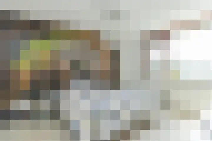 Ganzekant 13 Heerjansdam thumbnail 20