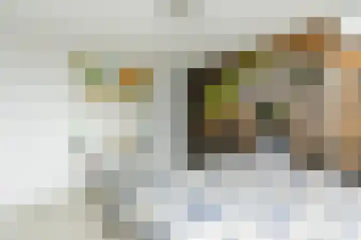 Ganzekant 13 Heerjansdam thumbnail 21