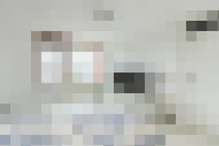 Ganzekant 13 Heerjansdam thumbnail 22
