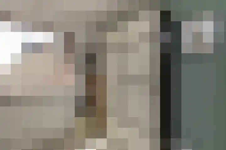 Ganzekant 13 Heerjansdam thumbnail 27