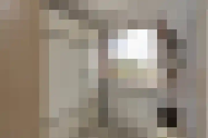 Ganzekant 13 Heerjansdam thumbnail 28