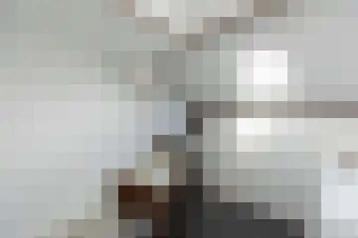 Ganzekant 13 Heerjansdam thumbnail 29