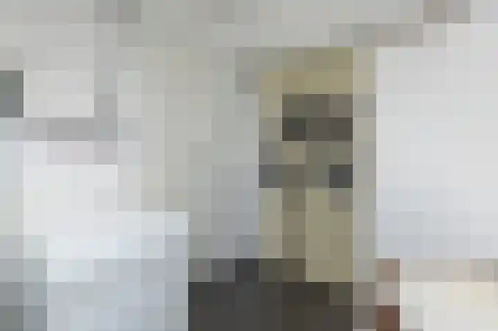 Ganzekant 13 Heerjansdam thumbnail 31