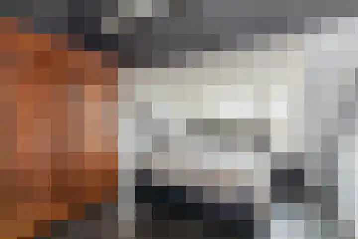 Ganzekant 13 Heerjansdam thumbnail 32