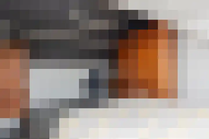 Ganzekant 13 Heerjansdam thumbnail 34