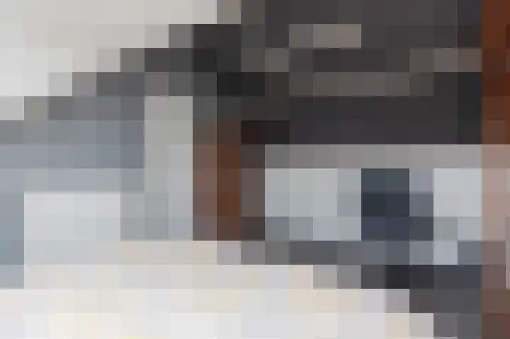 Ganzekant 13 Heerjansdam thumbnail 35