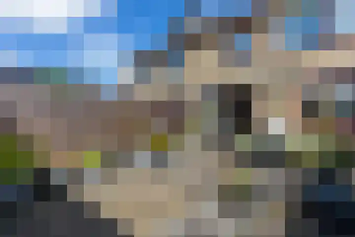 Ganzekant 13 Heerjansdam thumbnail 37
