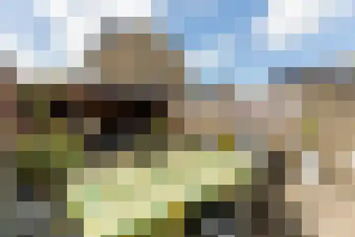 Ganzekant 13 Heerjansdam thumbnail 38