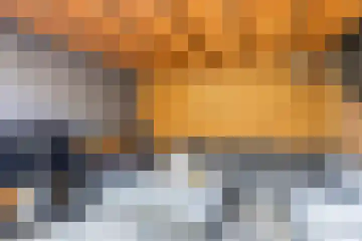 Ganzekant 13 Heerjansdam thumbnail 40