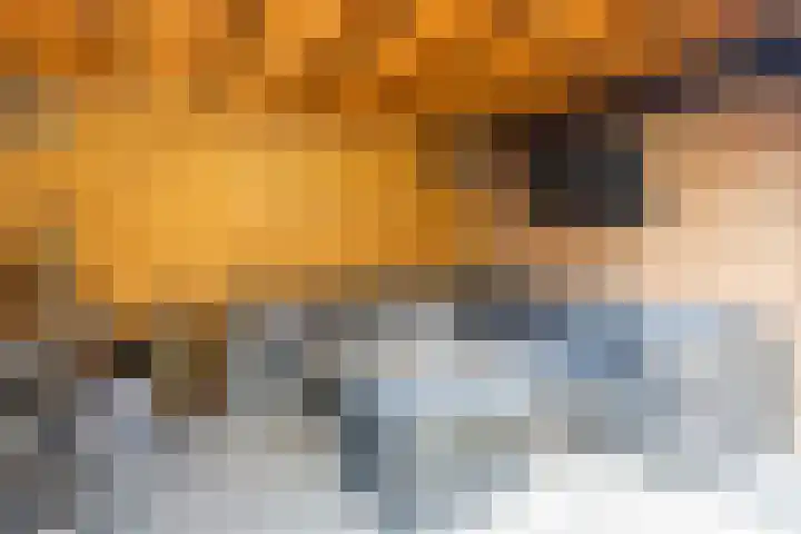 Ganzekant 13 Heerjansdam thumbnail 41